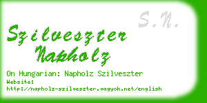 szilveszter napholz business card